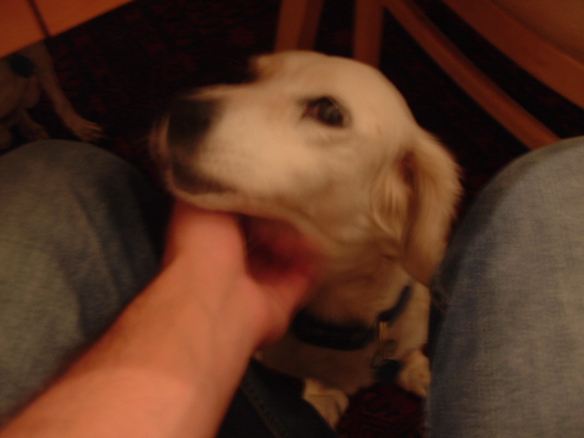 img-0013.jpg  (117.0 Kb)