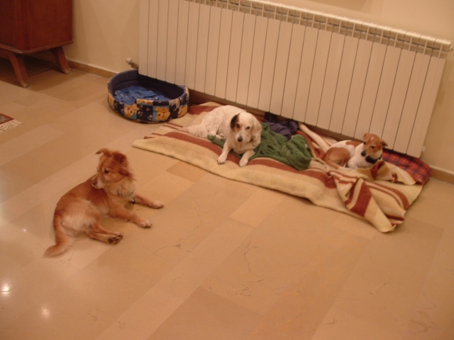 img-0017.jpg  (178.7 Kb)